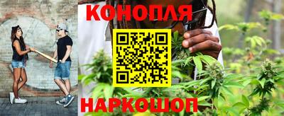 винт Новокубанск