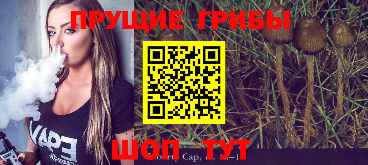Псилоцибиновые грибы GOLDEN TEACHER  Галлюциногенные грибы мухоморы  Кинель  цены   Вход с VPN 