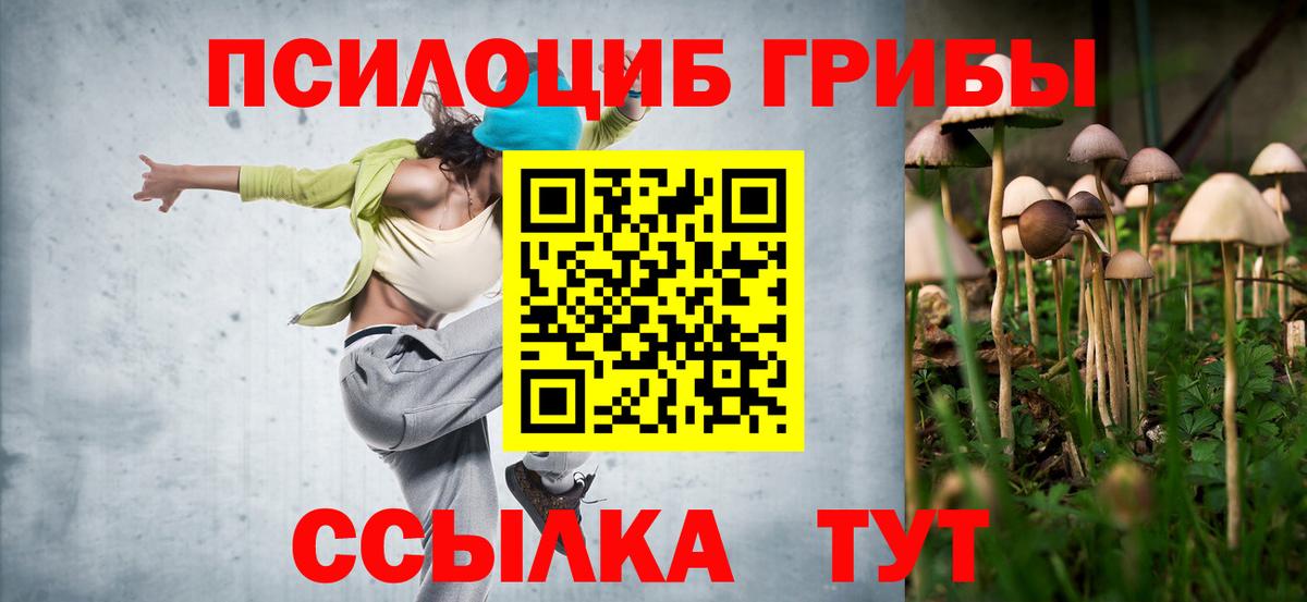 Галлюциногенные грибы прущие грибы Кинель